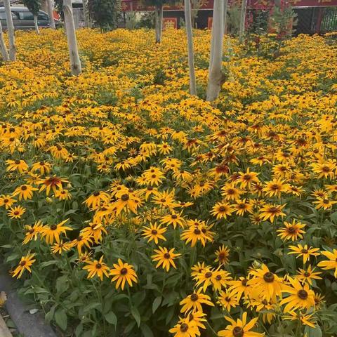 康恩老年公寓一周温馨回顾（2022.06.27-7.3）