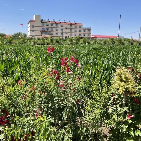 康恩老年公寓一周生活回顾（2022.7.11-2022.7.17）