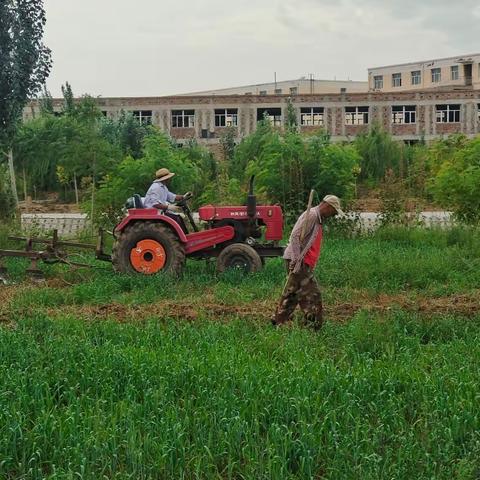 康恩老年公寓一周温馨生活回顾（2022.8.15-8.21）