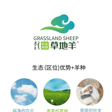 科右前旗草地羊简介