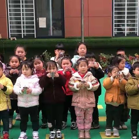 苹果三班期末总结汇报