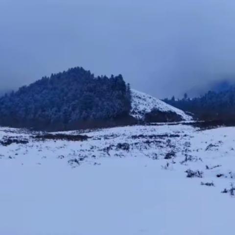 清明雪