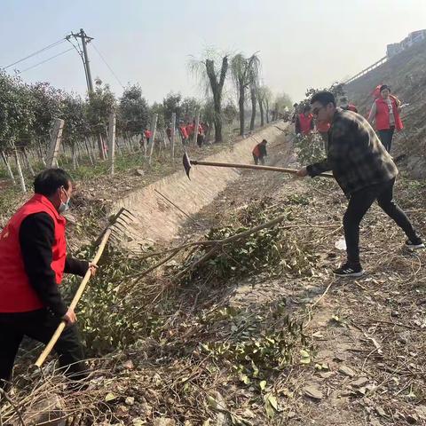 植绿护绿，美化家园