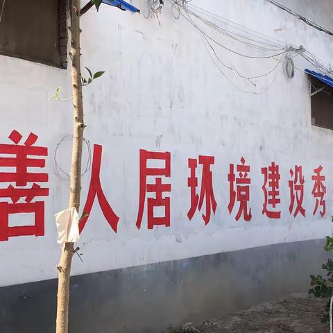 推进绿化工作，建设秀美家园