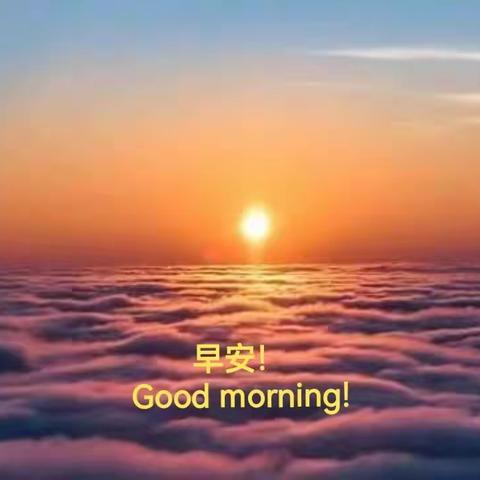 봄날의 메세지 (春天的留言)