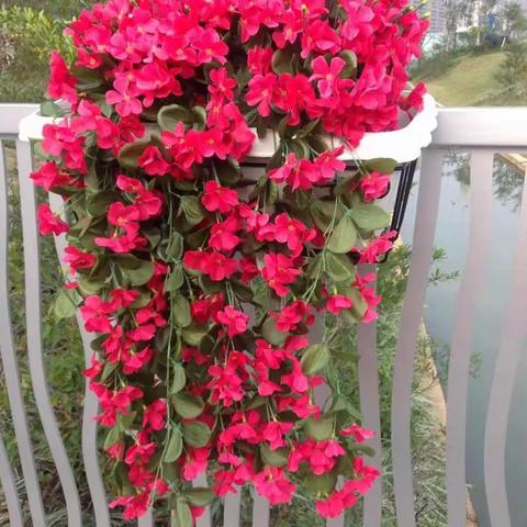 20180218家姐彭洁茹携姐夫丁友、小儿家亮驱车来到弟彭太明位于韶关碧桂园太阳城芙蓉湾二期九街10座2804新居