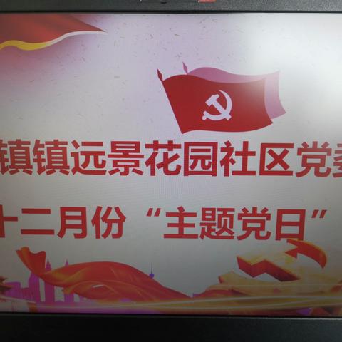 远景花园社区党委开展2022年12月份“高效统筹疫情防控和经济社会发展”主题党日活动