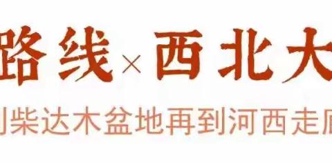 【2020版西北传奇】丝绸之路，魅力柴达木，激情碰撞，草原，湖泊，沙漠，雅丹，一次完美结合