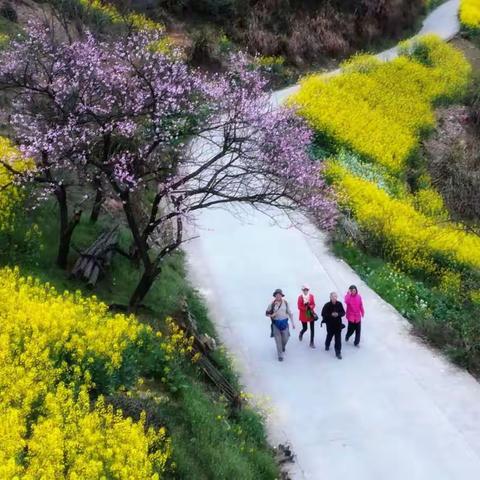 世外桃源,田园牧歌