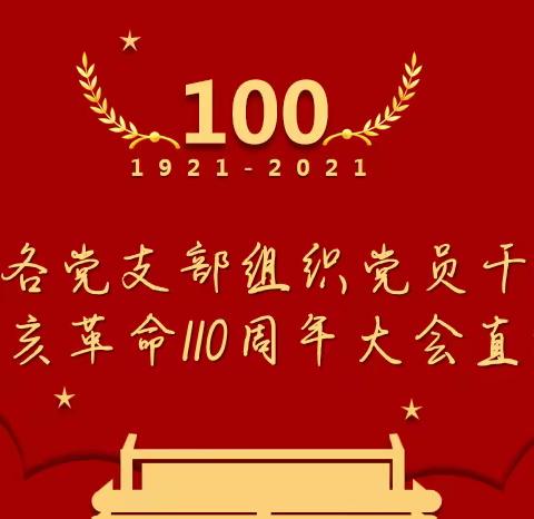 金河办事处各党支部组织党员干部收看纪念辛亥革命110周年大会直播
