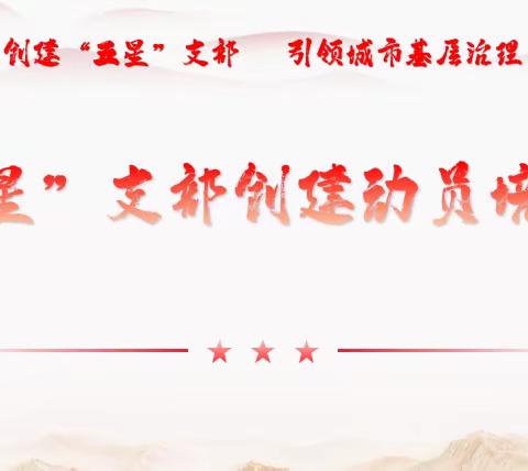 金河办事处召开“五星”支部创建动员培训会