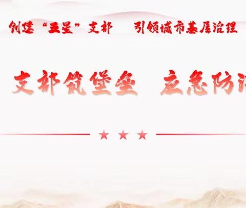 开发区金河办事处“五星”支部筑堡垒   应急防汛显担当