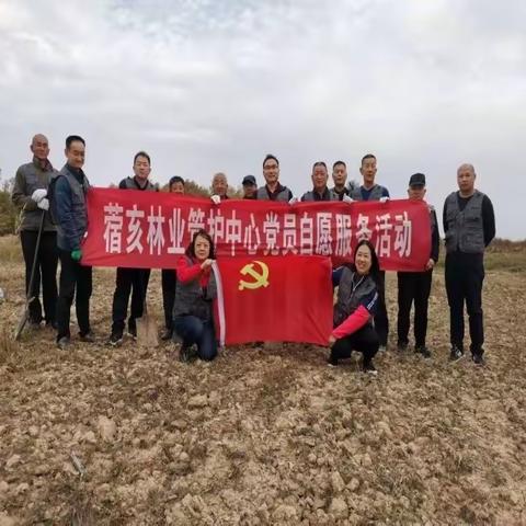 谁在为小树生长助力（22期）