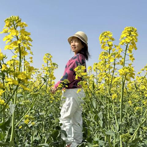 在春天的花海里撒欢儿