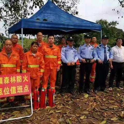 新海林区派出所清明节期间森林防火宣传工作暨开展党日主题活动
