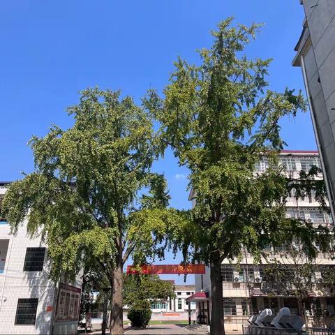 趣享运动展风采，味在体育见精神——记长乐镇学校教职工趣味体育运动会