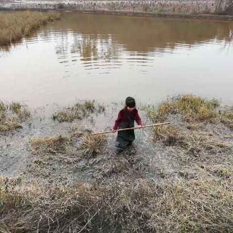 潘研寒假生活汇报