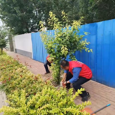 改善人居环境，提升村容村貌