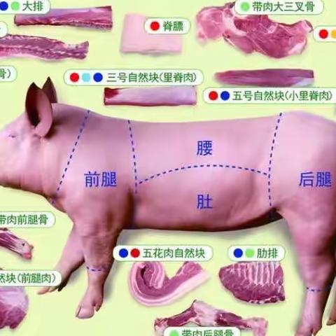 甜递生活鲜肉部位解析及成品图片