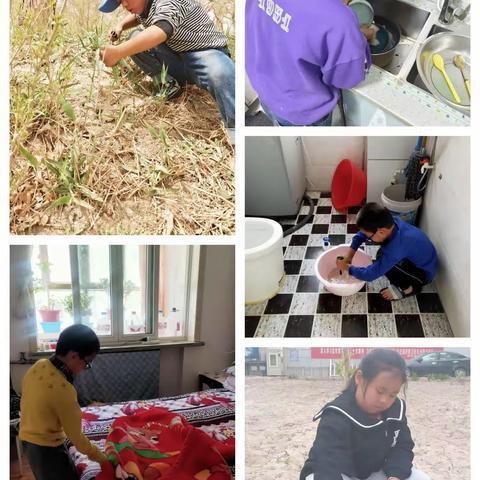我劳动，我光荣 ！  三年级（3）班