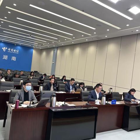 湖南公司召开3月份客户服务工作调度会