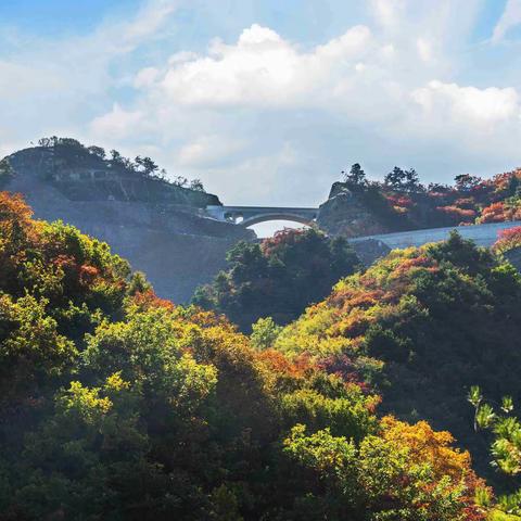 让山里美景尽情绽放——走进太行一号旅游公路平定段（篇）