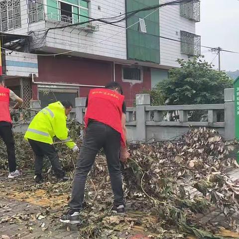 汀田街道金凤社区山上陈6月份环镜卫生篇