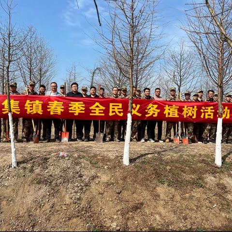 春风十里，正“植”有你——马集镇2023年春季全民义务植树活动