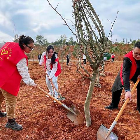 春风吹新绿，植树正当节——金华造价协会党支部植树活动