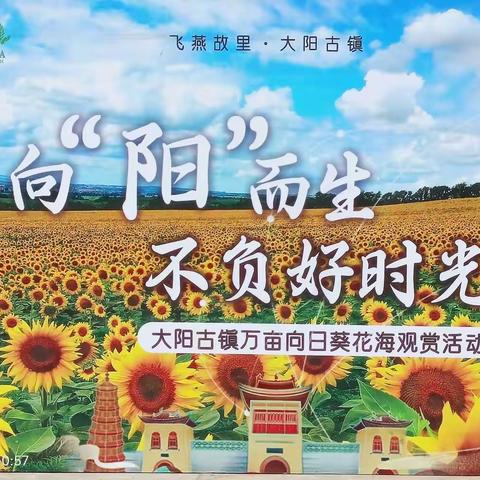 🌻🌻向阳而生，不负好时光🌻🌻——大阳万亩向日葵🌻🌻花海     摄影制作:安心