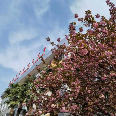 诗韵春光 书香校园—西安市第八十三中学清明诗会