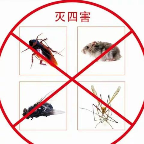 2022年春季病媒生物预防和控制宣传