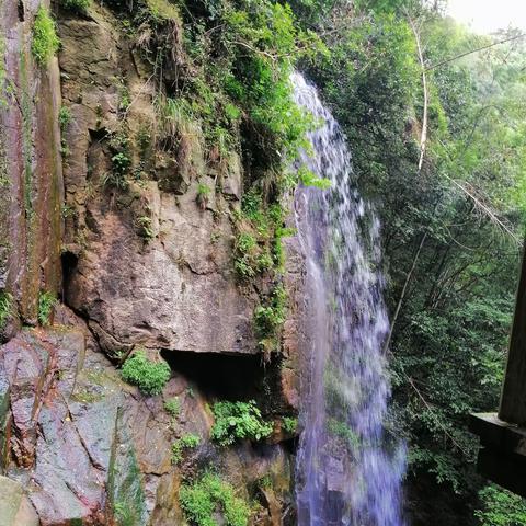 莫干山湖洲安吉避暑休闲行（上）