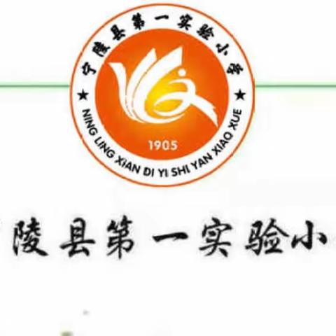 宁陵一小·健康体魄工程之篮球社团