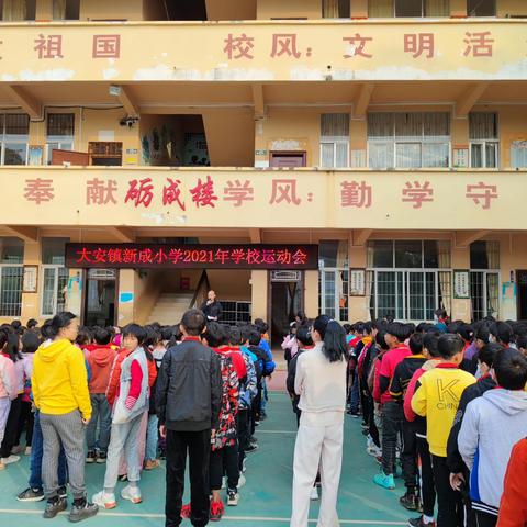 阳光运动，享受快乐——新成小学2021年学校运动会