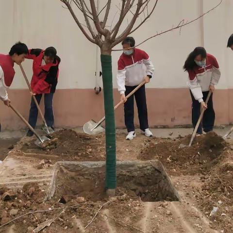 在春天播下绿色的希望——西安市第九十九中学植树节主题活动