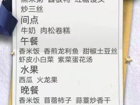 盛京幼儿园——7月7日托班教学活动