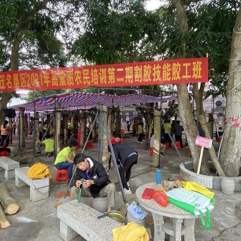 磨锋出利刃，学习晋技能