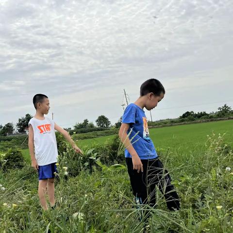 童年不同样