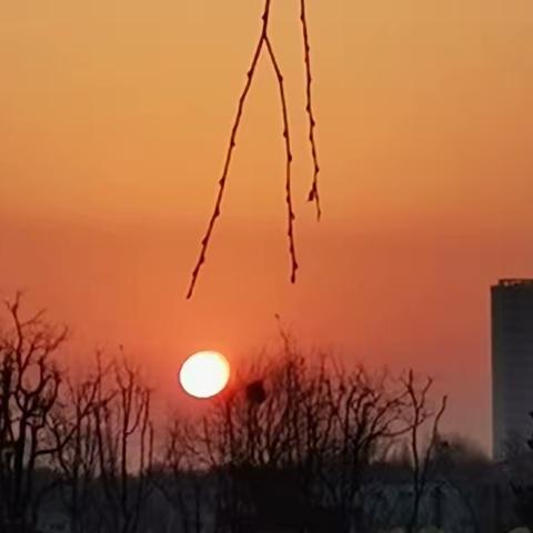 692  写给2023年的第一首诗