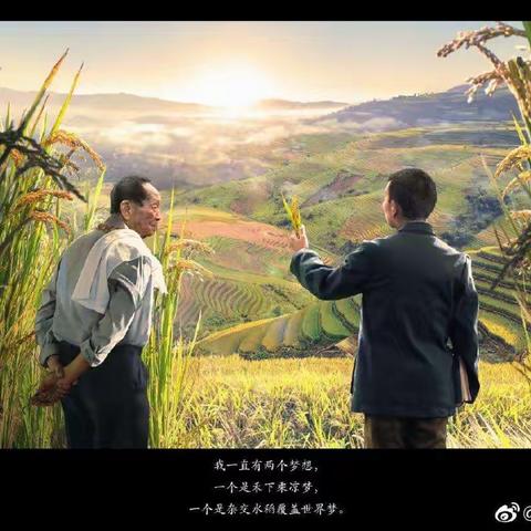 纪念袁隆平新曲《忘不了》，作词：张前 编曲、演唱：金蕊