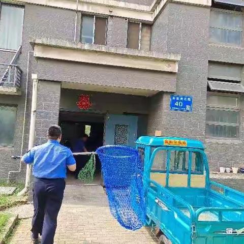 抓捕“流浪狗”