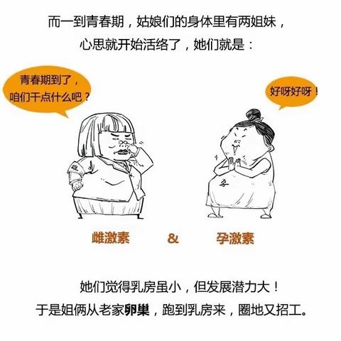 您不了解乳房，咋防乳腺癌？