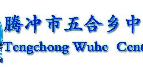 腾冲市委教育工委领导莅临五合中心学校检查指导党建工作