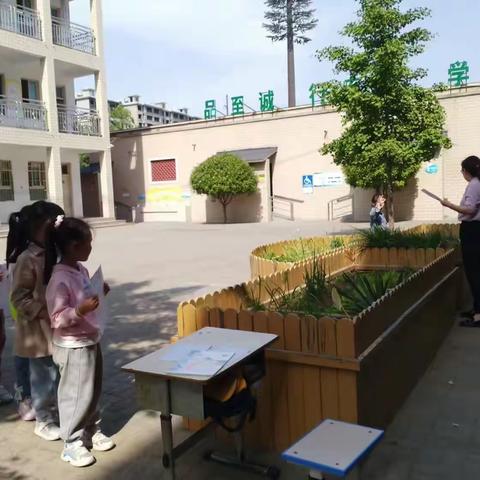 种植园里奥秘多——新郑市外国语小学一年级情境乐考