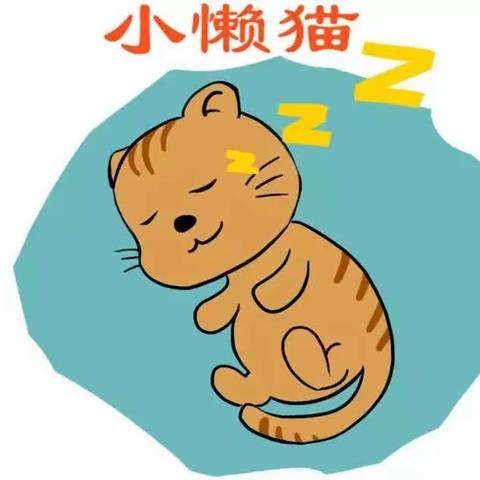 花猫和懒猫