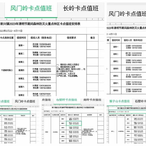 森林防火不松懈，时刻紧绷防火弦—新兴镇开展清明前后森林防火工作