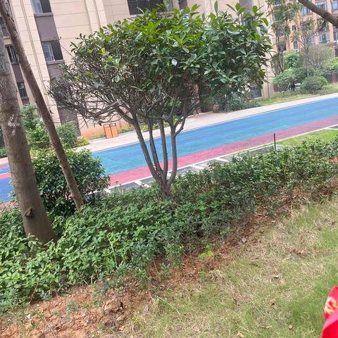 御江府成品工地品鉴