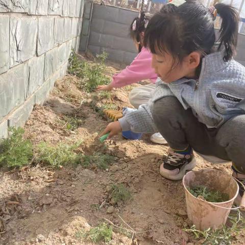 《麻辣烫点开业啦》