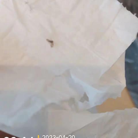 【绿盾科技】2023年4月（20日09：00 --21日01：30）亚特兰蒂斯酒店日常工作报告